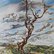 Dead Tree by Austen Pinkerton