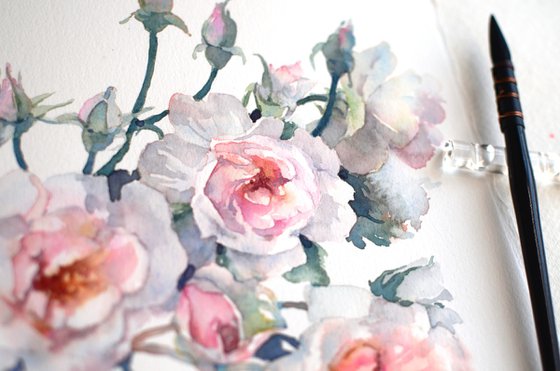 Watercolor roses on white