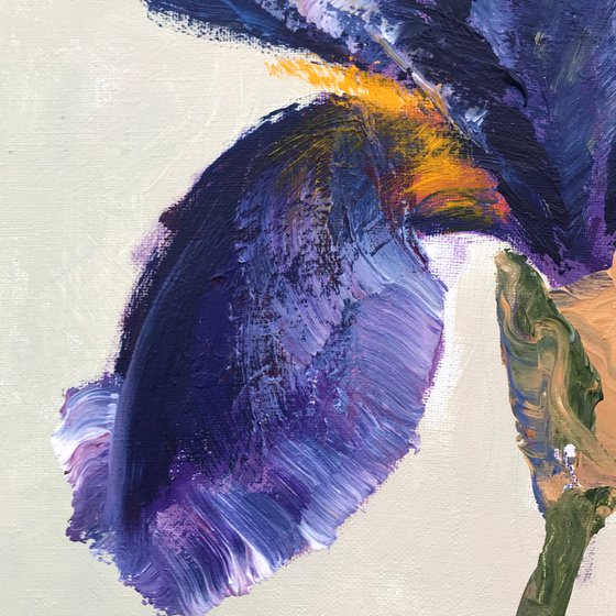 Dark blue iris original painting on canvas