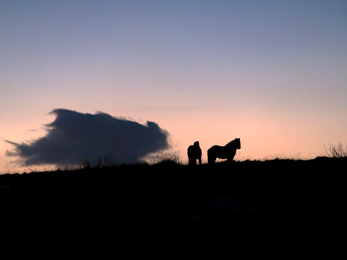 ICELANDIC MOMENTS by Fabio Accorri?