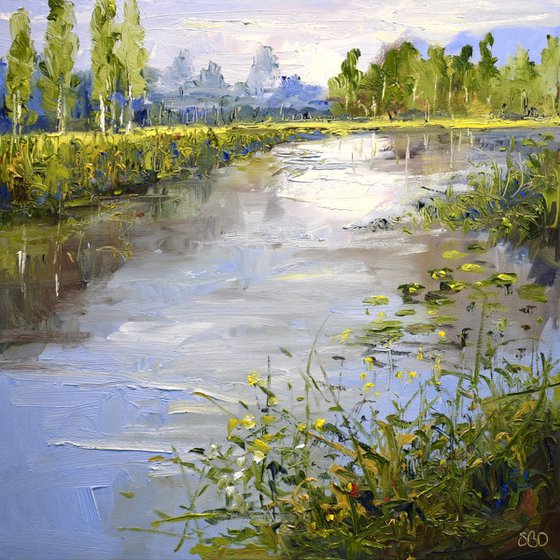 Magic pond