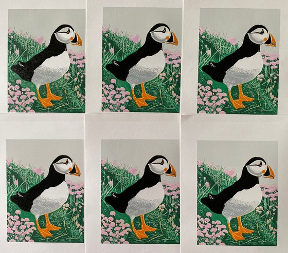 Puffin and Sea Pinks
