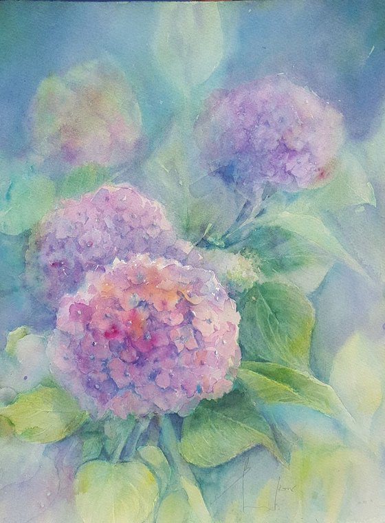 HYDRANGEAS . MY DREAM GARDEN 2018 original watercolor 31X41