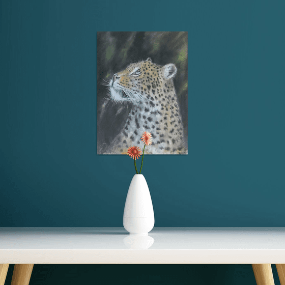 Leopard