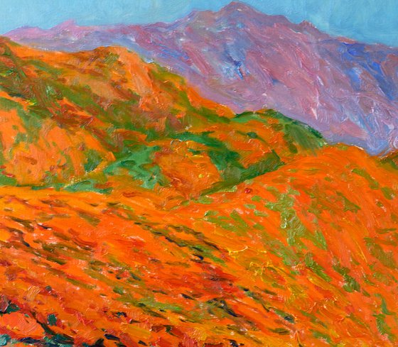 California Poppies on the Mountains