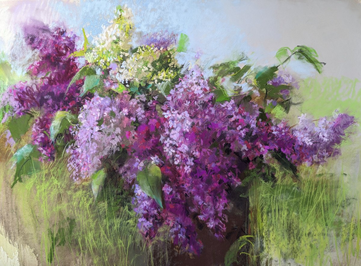 Lilacs 2`24 by Silja Salmistu