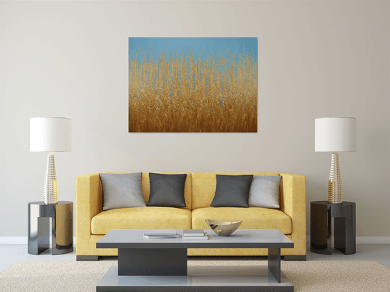 Soft Summer Field