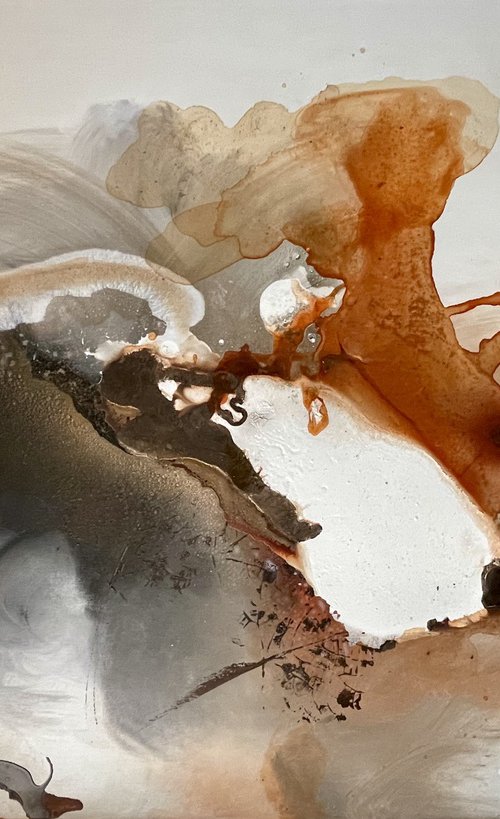 Vibrant Contrast in Brown, Grey, and White by Tiny de Bruin