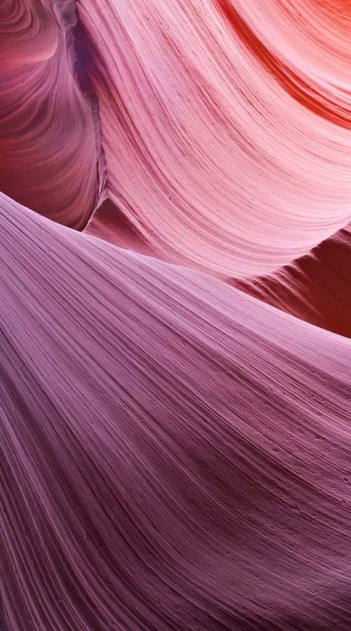 The Veil by Alex Cassels