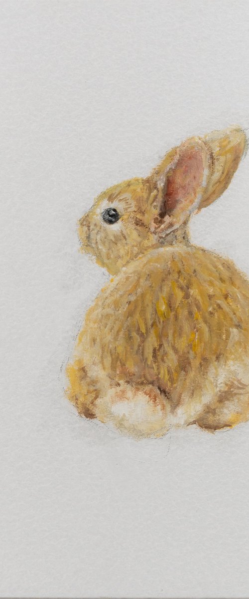 Golden Bunny by VICTO