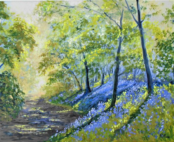 Bluebell Walk