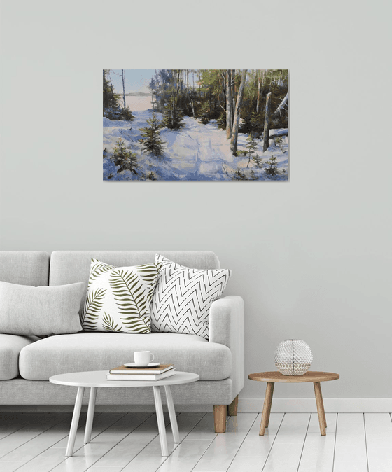 The path to the frozen lake