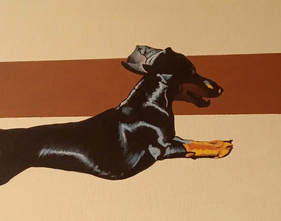 Short legs big heart! ❤️