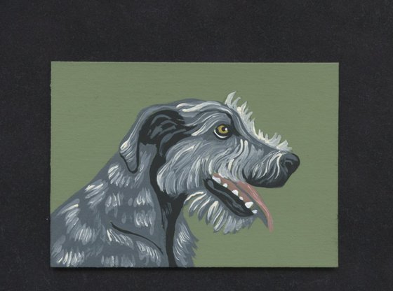 ACEO ATC Original Miniature Painting Irish Wolfhound Pet Dog Art-Carla Smale