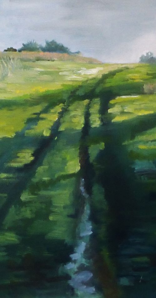 Grassy Track by Alison  Chaplin