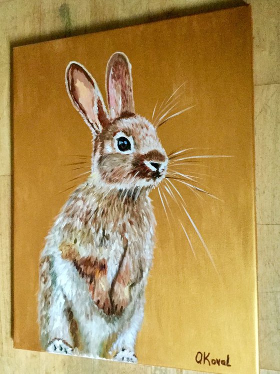 Honey bunny 5