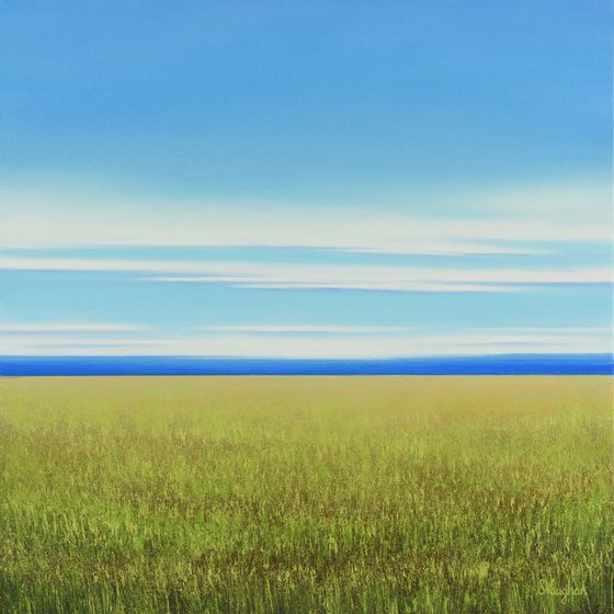 Spring Field- Blue Sky Landscape