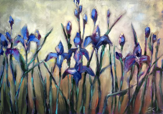 Evening Irises