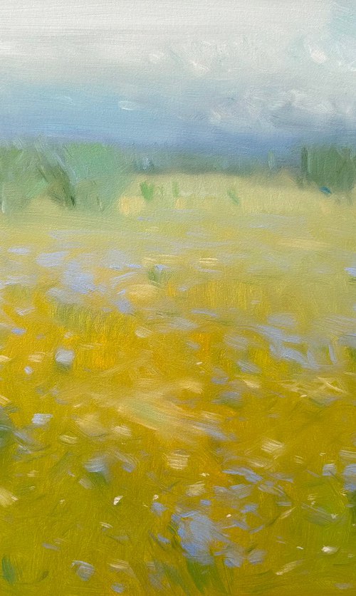 Summer Field by Vahe Yeremyan