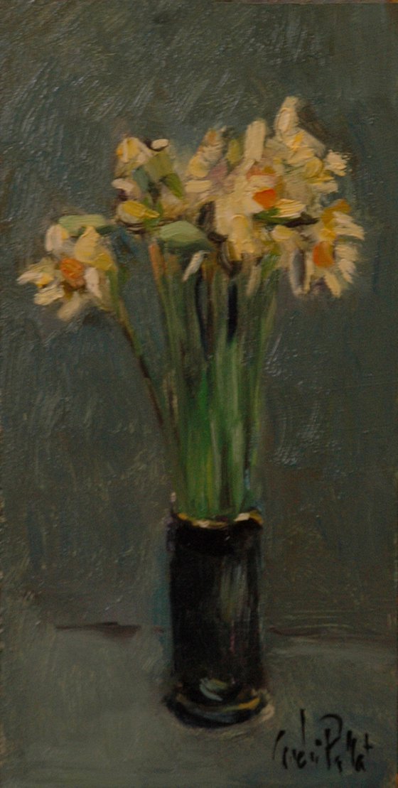 Spring Daffodils
