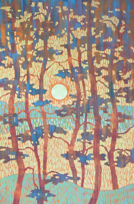 Sunset Between Blue Pines