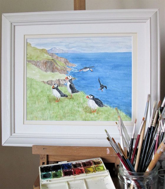 Puffins on the Coast