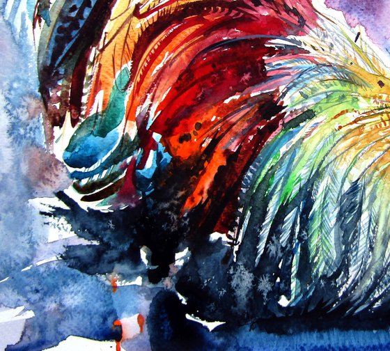 Colorful rooster