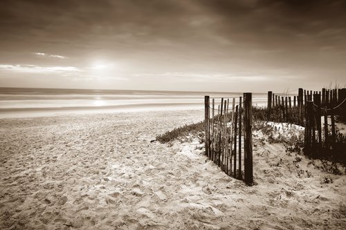 "Dune Fence" S by John McManus