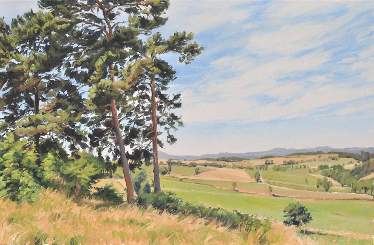 Impressionistic Landscape Oil Painting By Anne Baudequin, 36 X 24, Summer Light, Velay Mountains, Original Artwork