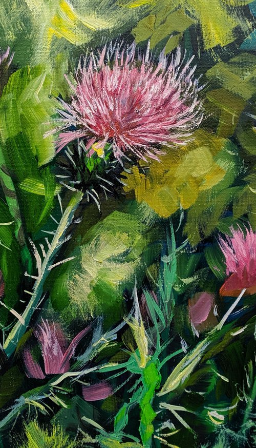 Thistle by Elena Sokolova