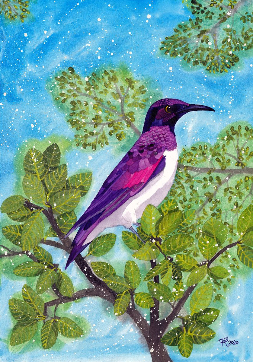 Amethyst Starling by Terri Smith