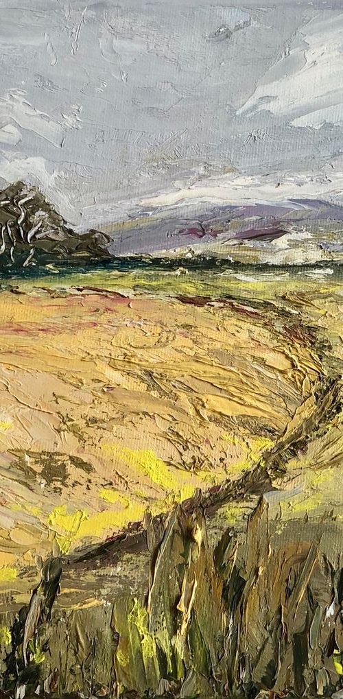 Path through the corn field by Marja Brown