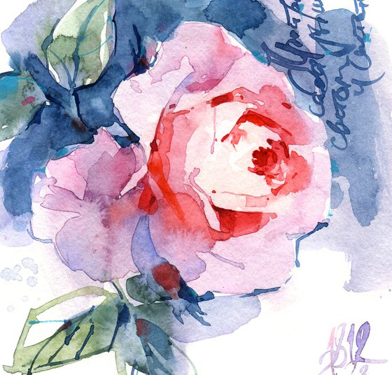 "Glow" watercolor sketch of an orange and coral English rose, "Letters from the Garden" series