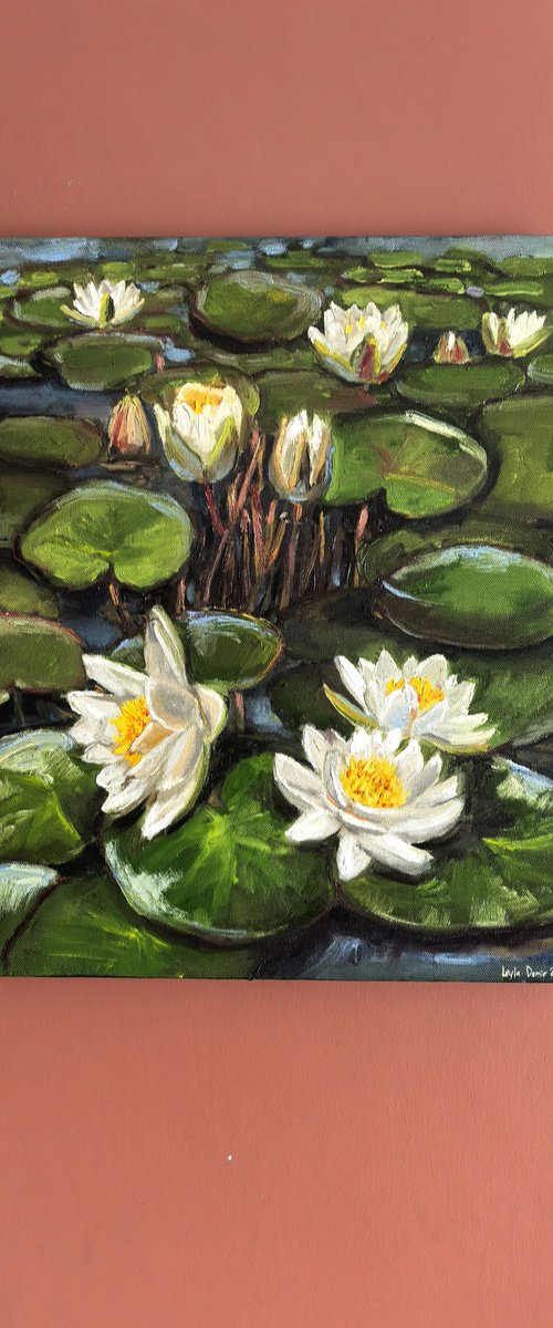 Water lilies by Leyla Demir