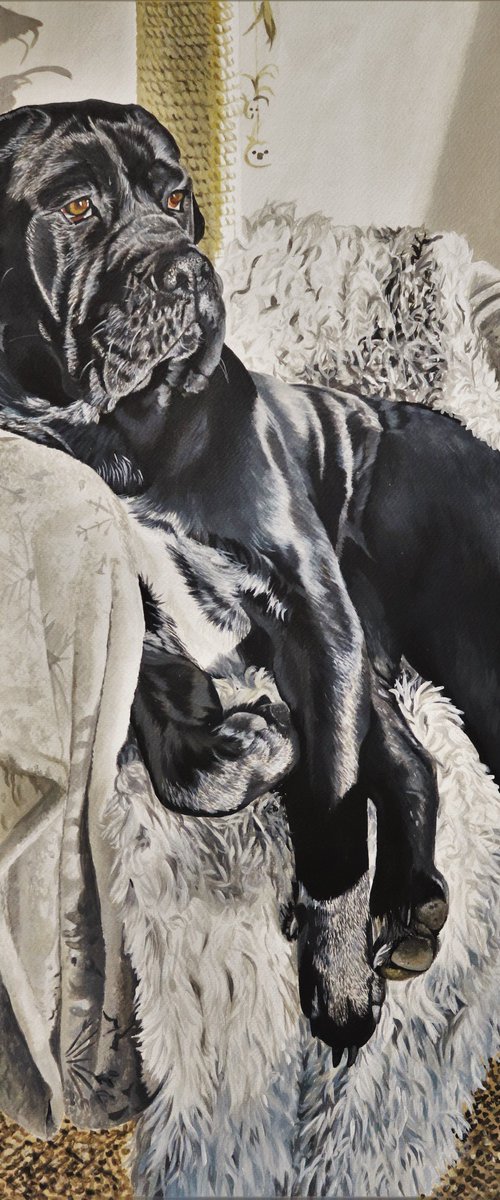 Afternoon siesta by Julian Wheat