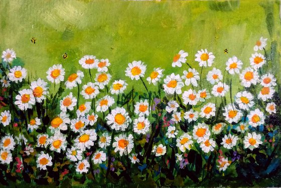 Daisies nodding in the breeze