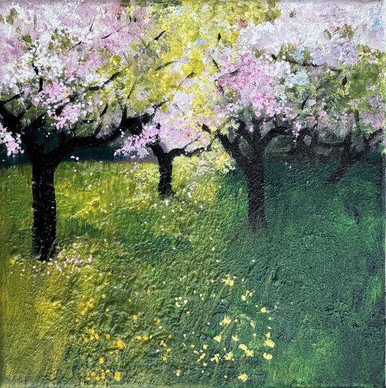 Pink Blossom in the Orchard