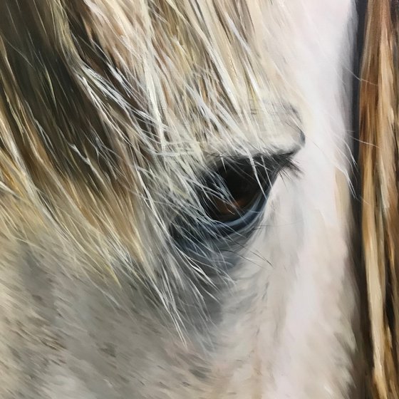 Square oil painting with horse face realism 80 * 80 cm