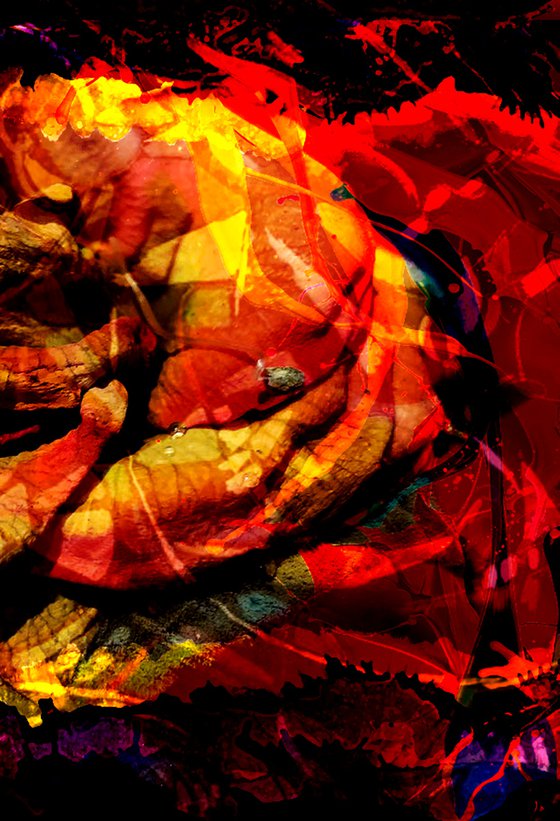 Abstract Rose