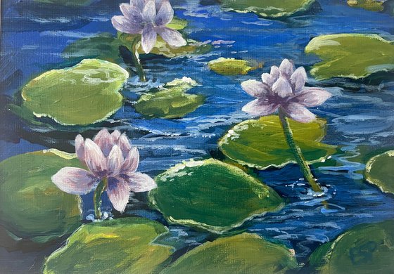 Lilac water lilies