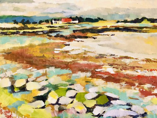 Irish seaside Croft by Annie Meier