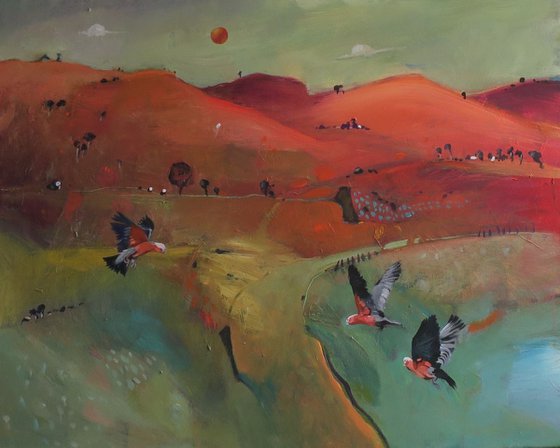 Pink Hills and Galahs