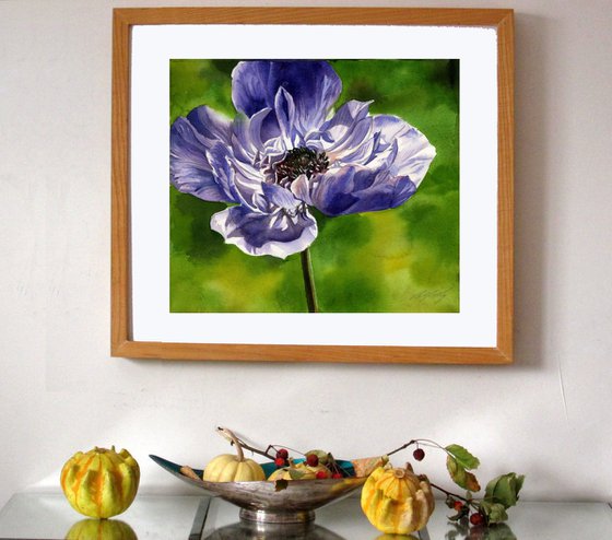 blue anemone watercolor floral