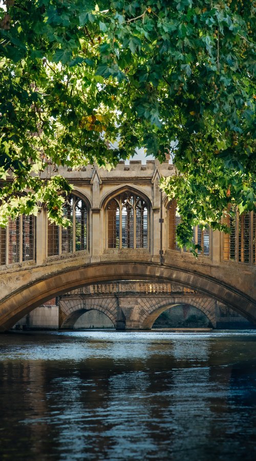 Bridge of Sighs - Cambridge University by Harv Greenberg
