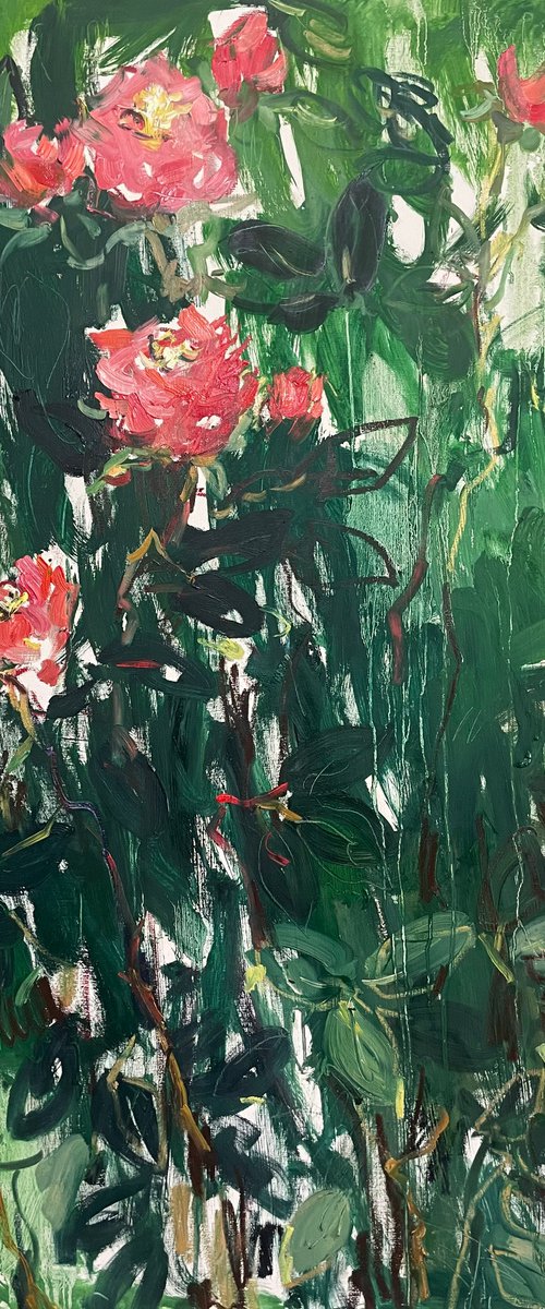 Garden roses. by Lilia Orlova-Holmes