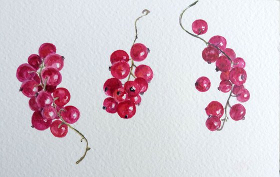 Red currant.