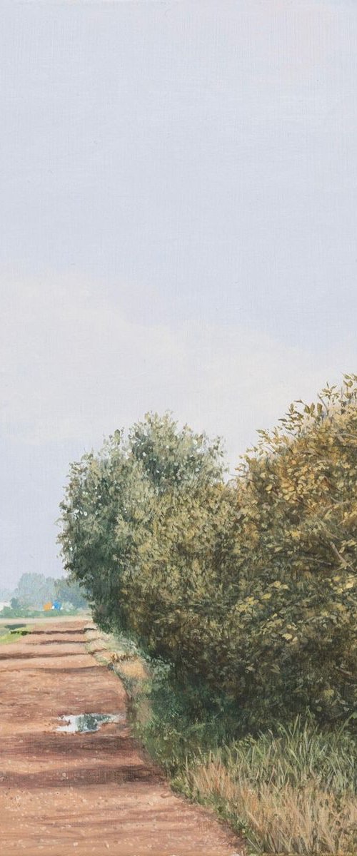 Autumn Morning by Christopher Witchall