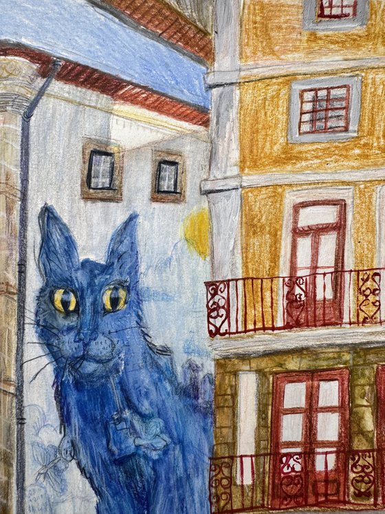 Porto Blue Cat