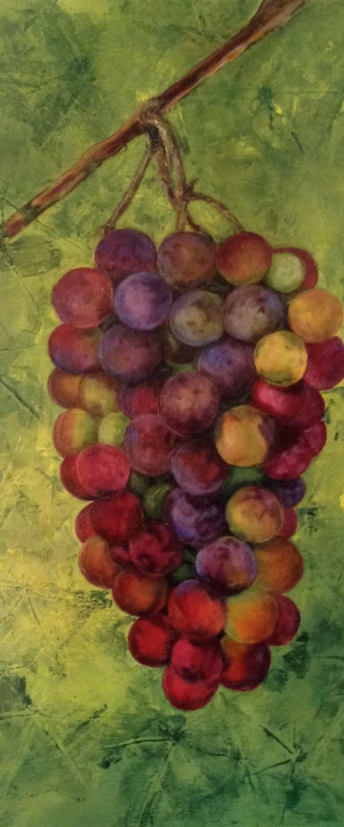 Fifty Shades of Grapes by Christine Hathaway