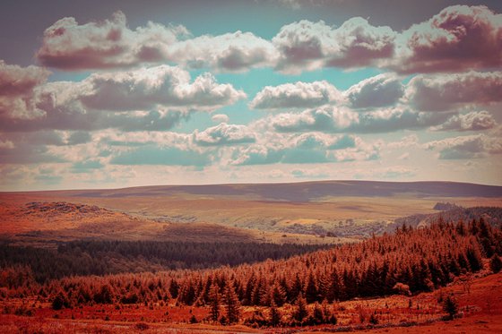 Dartmoor, 2022 - 01 - A4